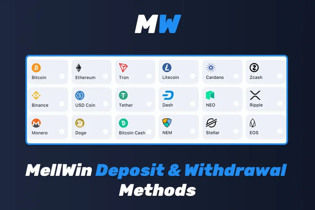 All Mellwin Online Casino Payment Methods